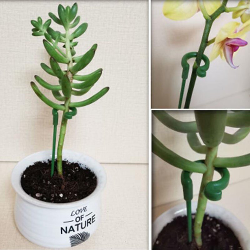 🔥Last Day Promotion 50% OFF💥Plant Support Stake