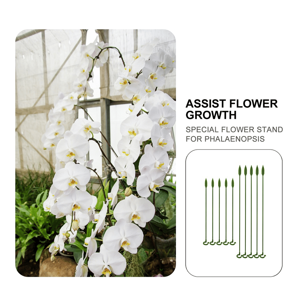 🔥Last Day Promotion 50% OFF💥Plant Support Stake