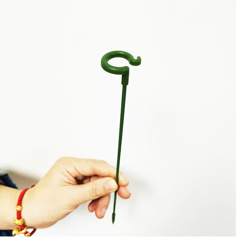 🔥Last Day Promotion 50% OFF💥Plant Support Stake