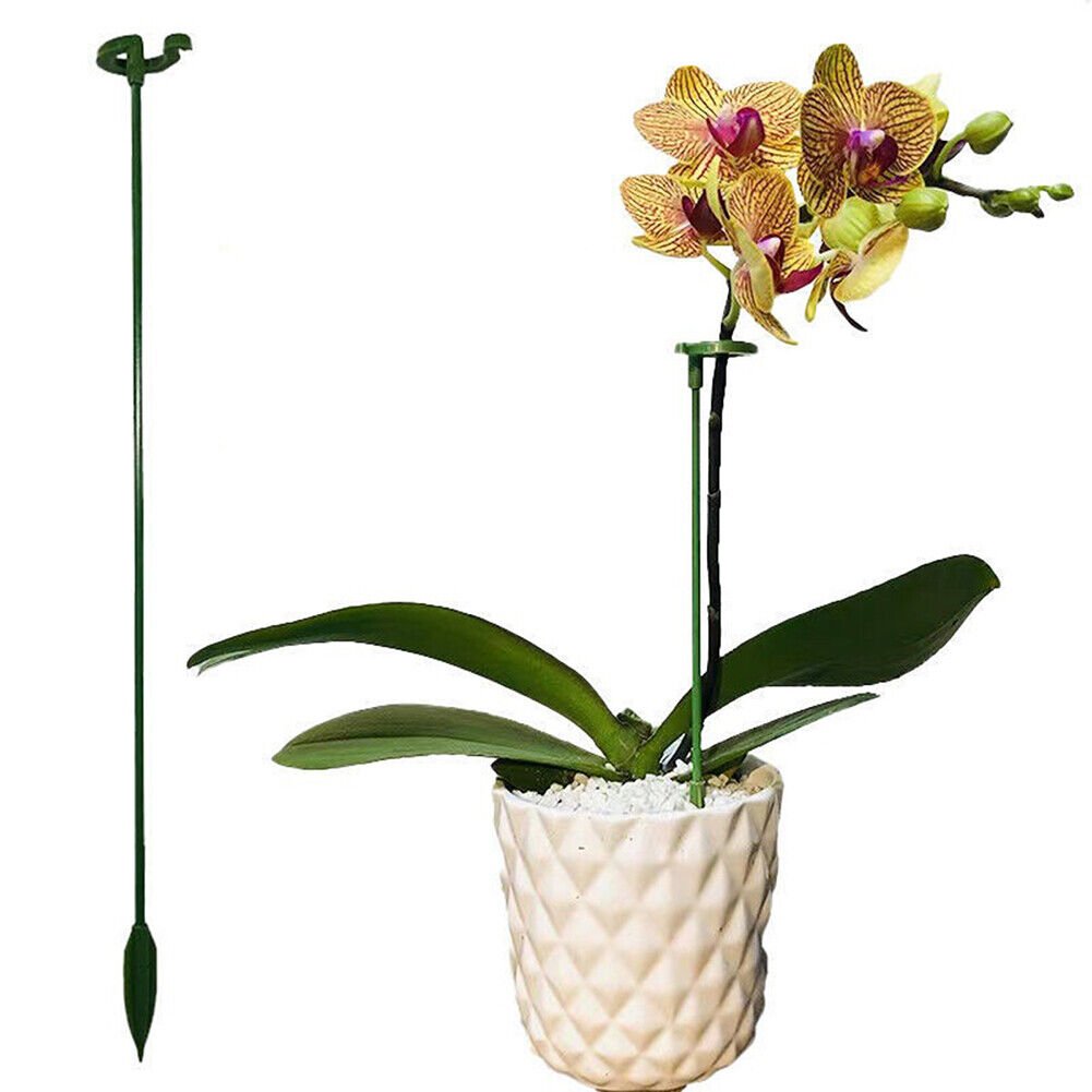 🔥Last Day Promotion 50% OFF💥Plant Support Stake