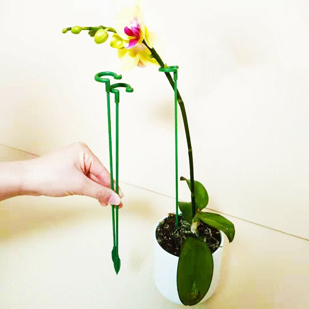 🔥Last Day Promotion 50% OFF💥Plant Support Stake