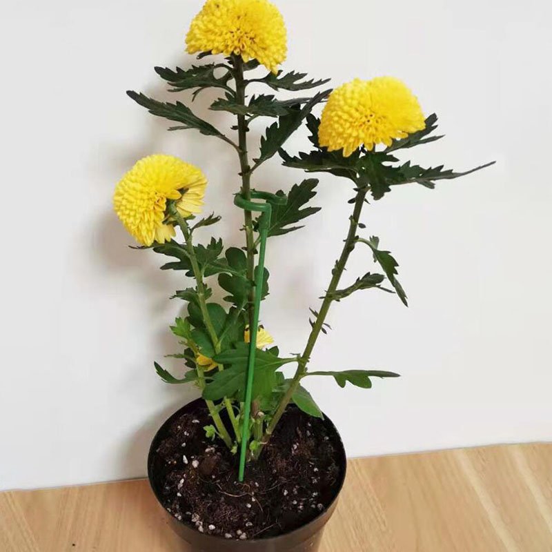 🔥Last Day Promotion 50% OFF💥Plant Support Stake
