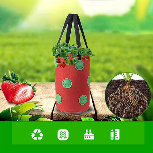 ⚡2025 Hottest Selling Home & Living Items🎁 Buy 2 get free shipping.