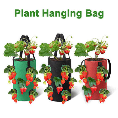 ⚡2025 Hottest Selling Home & Living Items🎁 Buy 2 get free shipping.