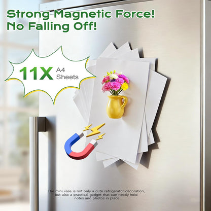 Limited time offer