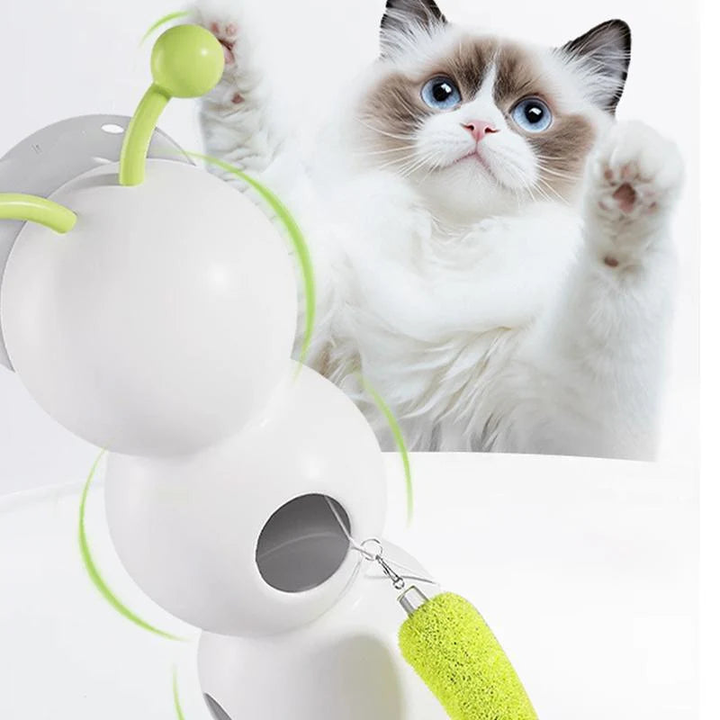 🐾 Interactive Cat Feather Toy – USB Rechargeable Wall-Mounted Whack-a-Mole Cat Teaser with Suction Cup, Perfect for Indoor Cats