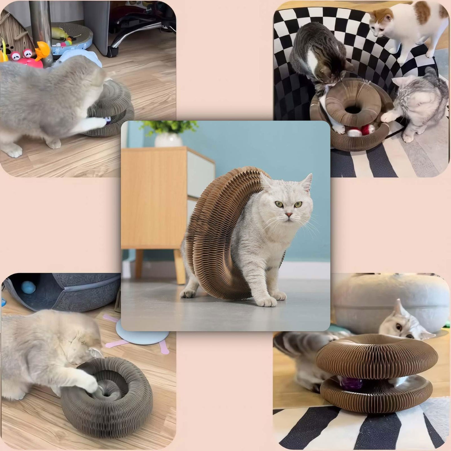 😸Cat Toy, Magic Organ Cat Scratch Board, Compact Cats Accordion Toy, Interactive Cardboard Cat Scratcher Pad Toys with Bell Ball for Indoor Exercise