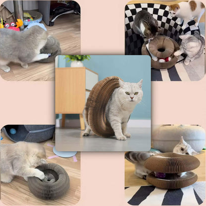 😸Cat Toy, Magic Organ Cat Scratch Board, Compact Cats Accordion Toy, Interactive Cardboard Cat Scratcher Pad Toys with Bell Ball for Indoor Exercise