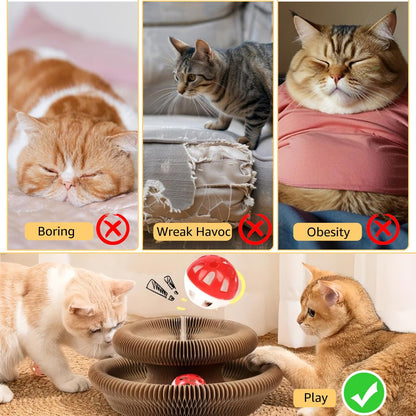 😸Cat Toy, Magic Organ Cat Scratch Board, Compact Cats Accordion Toy, Interactive Cardboard Cat Scratcher Pad Toys with Bell Ball for Indoor Exercise