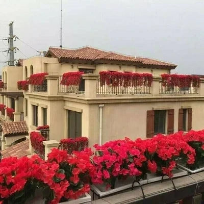 ⚡2025 Hottest Selling Home & Living Items🎁 Buy 2 get free shipping.