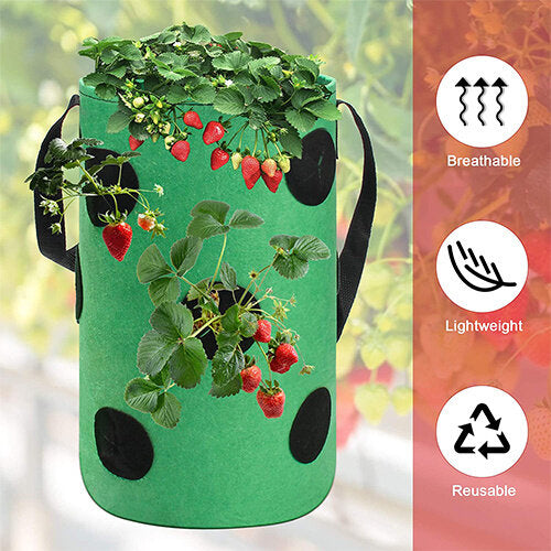 ⚡2025 Hottest Selling Home & Living Items🎁 Buy 2 get free shipping.