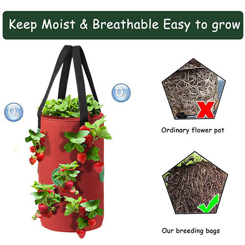 ⚡2025 Hottest Selling Home & Living Items🎁 Buy 2 get free shipping.